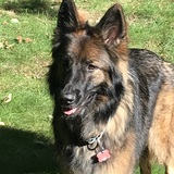 Entry image for Zena