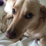 Entry image for Tully