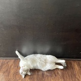 Entry image for Betty