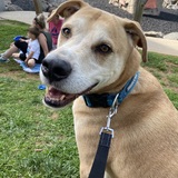 Entry image for Tucker