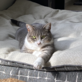 Entry image for Smudge