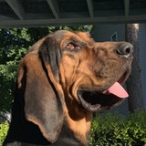 Entry image for Fred