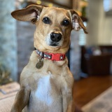 Entry image for Winnie “Winifred Louise”