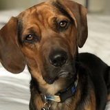 Entry image for Sulli