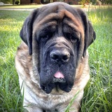 Entry image for Liam