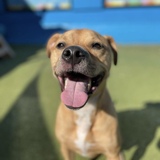 Entry image for Moose Tipps