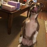 Entry image for Finley