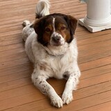 Entry image for Penny