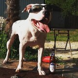 Entry image for Yuki