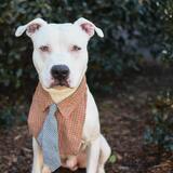 Entry image for Keno