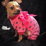 Entry image for Annabelle 