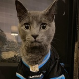 Entry image for Roger 