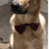 Entry image for Coco