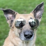 Entry image for Bolt