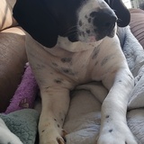 Entry image for Lacie Ann