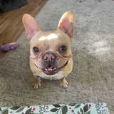 Entry image for Roux