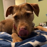 Entry image for Pixel