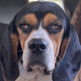 Entry image for Betty 