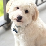 Entry image for Benny