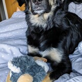 Entry image for Buffy 