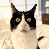 Entry image for Tina