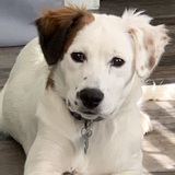 Entry image for Hazy