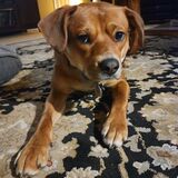 Entry image for Jackson