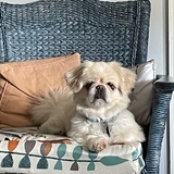 Entry image for Charles