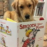 Entry image for Harley