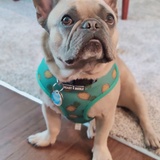 Entry image for Murphy