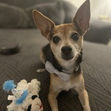 Entry image for Ryland