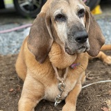 Entry image for Ellie Mae