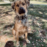 Entry image for Maverick