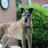 Entry image for Hannah