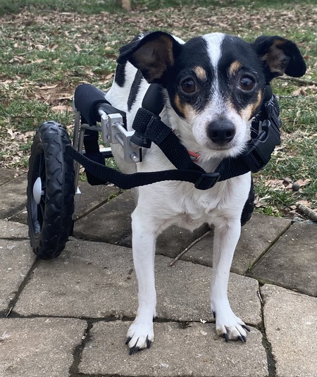 Entry image for Mrs. Maisel. Clicking this image will show a larger photo