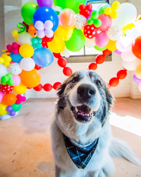 Entry image for Brian . Clicking this image will show a larger photo