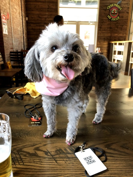 Entry image for Cali. Clicking this image will show a larger photo