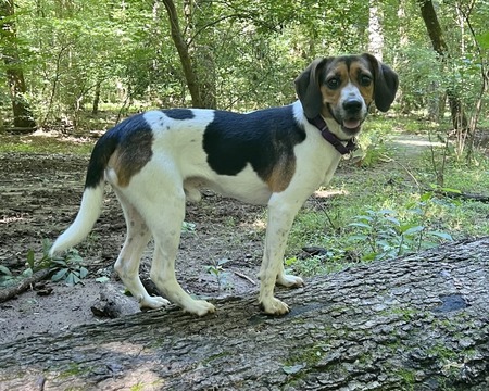 Entry image for George. Clicking this image will show a larger photo