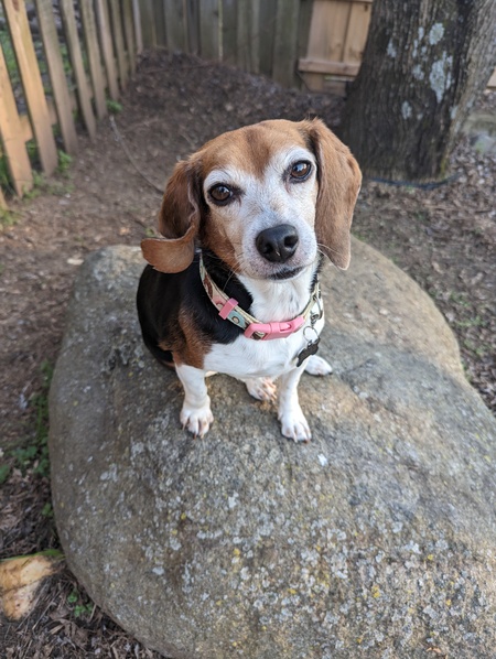 Entry image for Lana. Clicking this image will show a larger photo