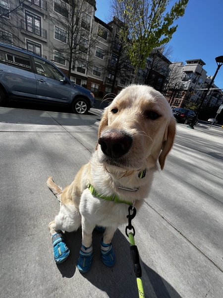 Entry image for Toast. Clicking this image will show a larger photo