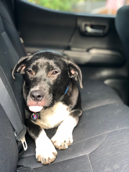 Entry image for Cash. Clicking this image will show a larger photo