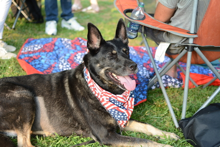 Entry image for Zora. Clicking this image will show a larger photo