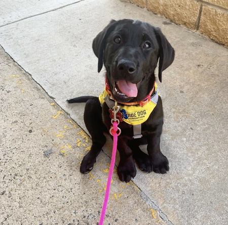 Entry image for Rabun. Clicking this image will show a larger photo