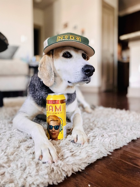 Entry image for Kushi. Clicking this image will show a larger photo