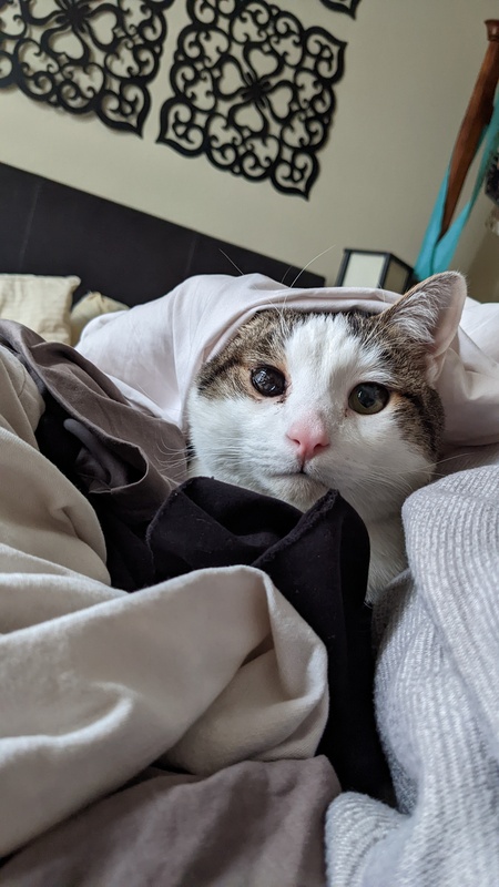 Entry image for Odin. Clicking this image will show a larger photo