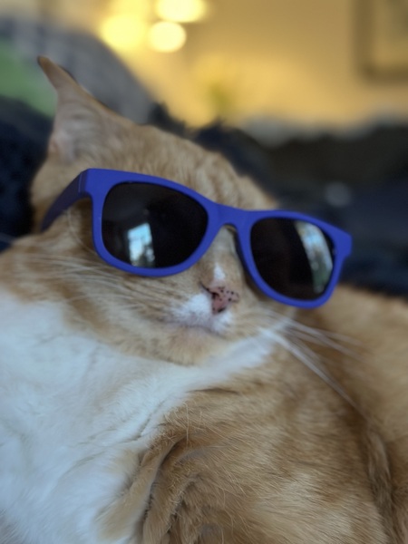 Entry image for George. Clicking this image will show a larger photo