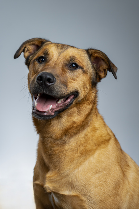 Entry image for Hank. Clicking this image will show a larger photo