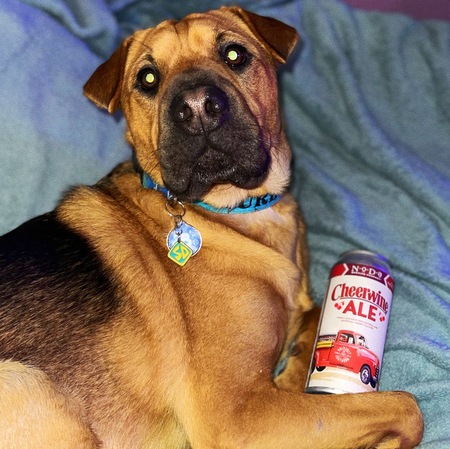 Entry image for Turbo. Clicking this image will show a larger photo