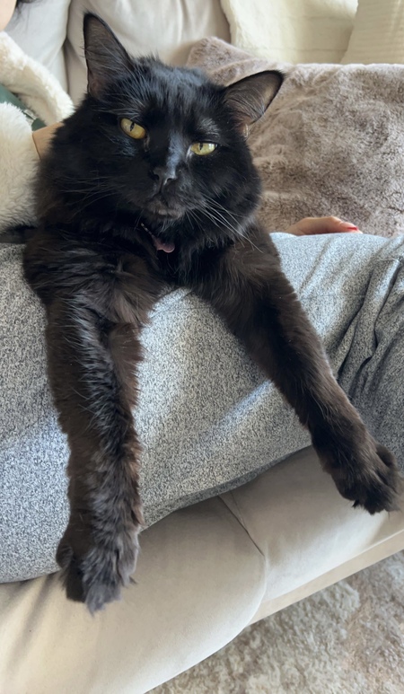 Entry image for Mika. Clicking this image will show a larger photo