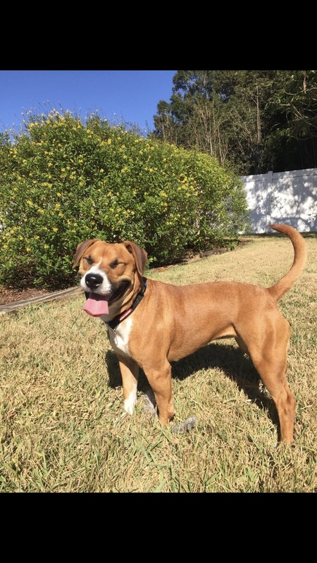 Entry image for Claire. Clicking this image will show a larger photo